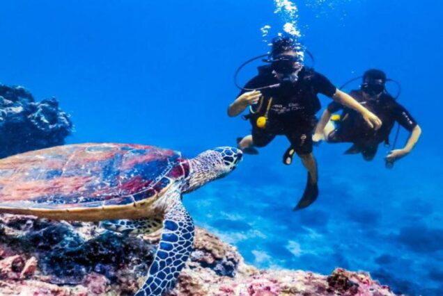 Scuba Diving in Hurghada