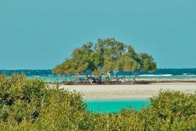 Private Trip to sharm el Lulli and wadi el Qulaan from Marsa Alam