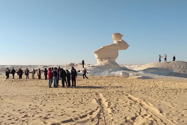 Day Trip to Bahariya Oasis | Black & White Desert Adventure from Cairo